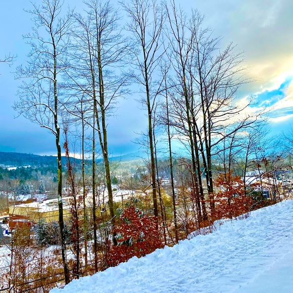 Meet your Posher, Heather - Picture 4 of 8